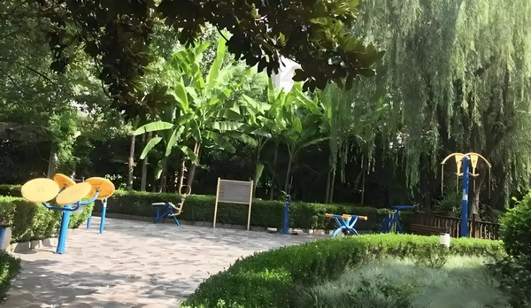 今天积分落户新闻_第85期黄晓明：凡事淡然一笑是我目前最希望的状态 第85期黄的状态告诉中国意在